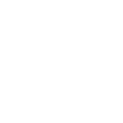 AIG Seguros
