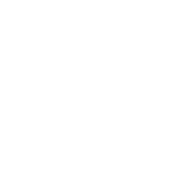 BSE
